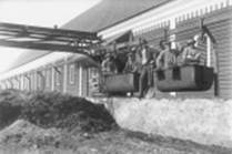 IAva0177a